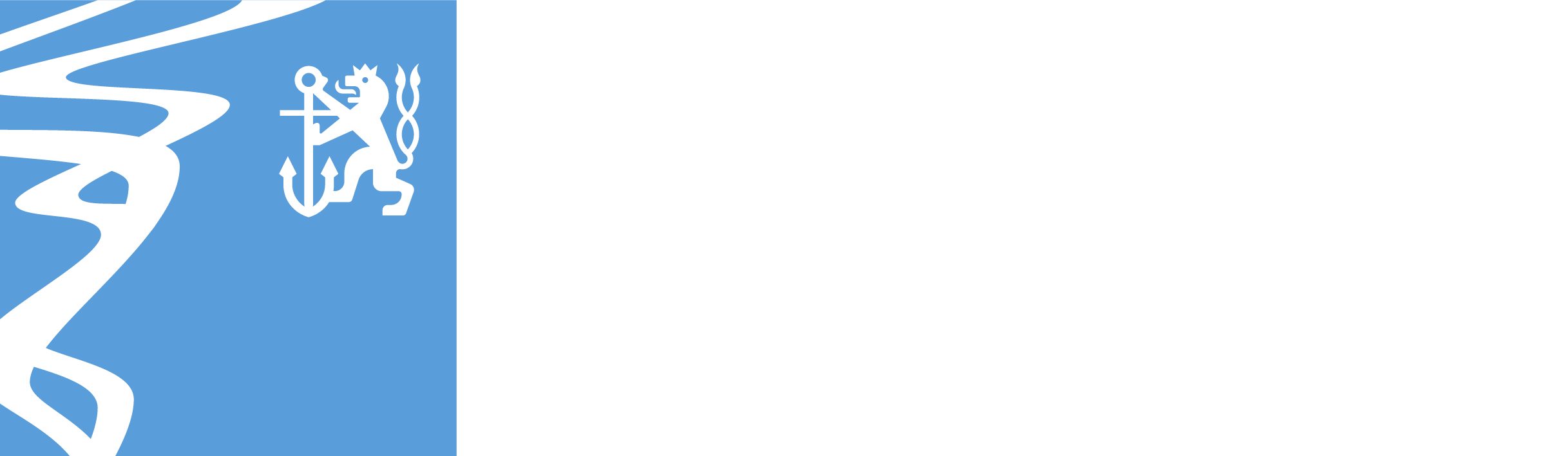 Logo LHS Düsseldorf